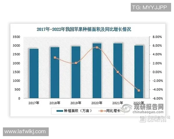 波图与比锡达斯的实力对比分析谁更具优势和潜力